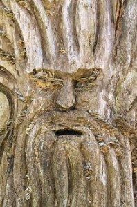 face
