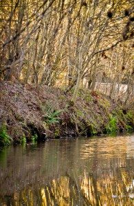Union Canal at Ratho