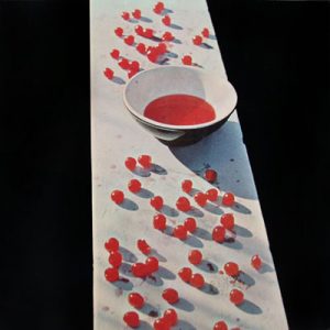 LP Sleeve