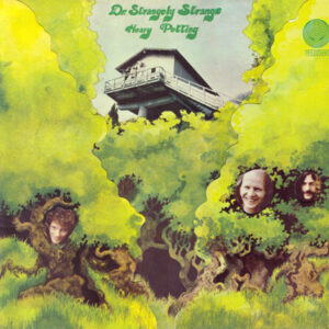 LP Sleeve