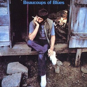 LP Sleeve