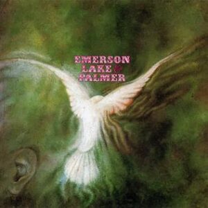 LP Sleeve