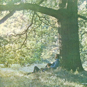 LP Sleeve