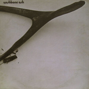 LP Sleeve