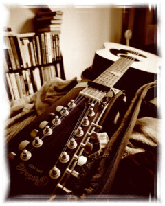 Martin 12-string guitar